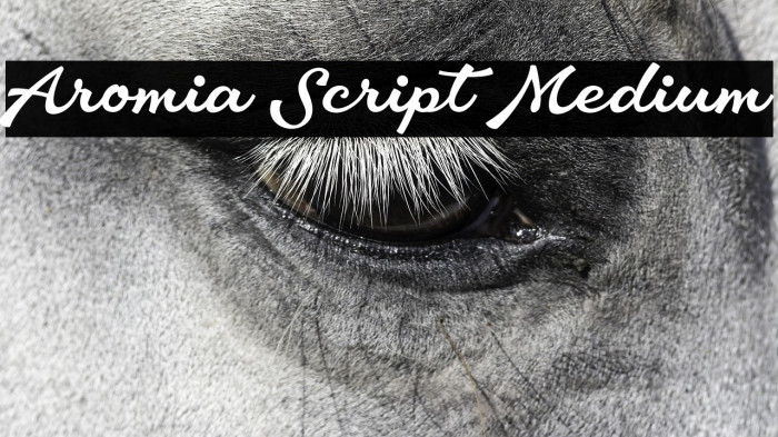 Aromia Script Medium Example 1