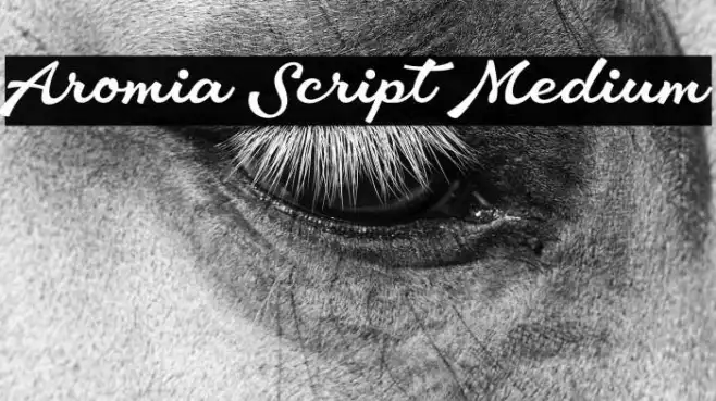 Aromia Script Medium Example 1
