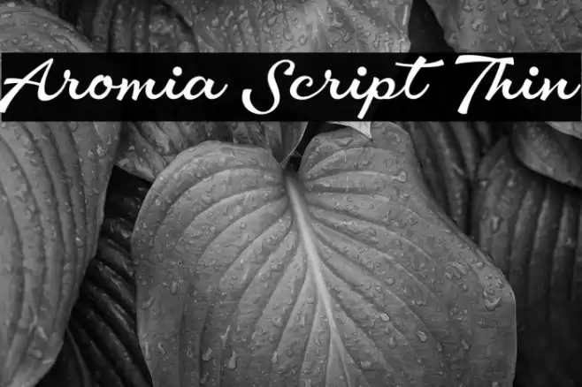 Aromia Script Thin Font examples