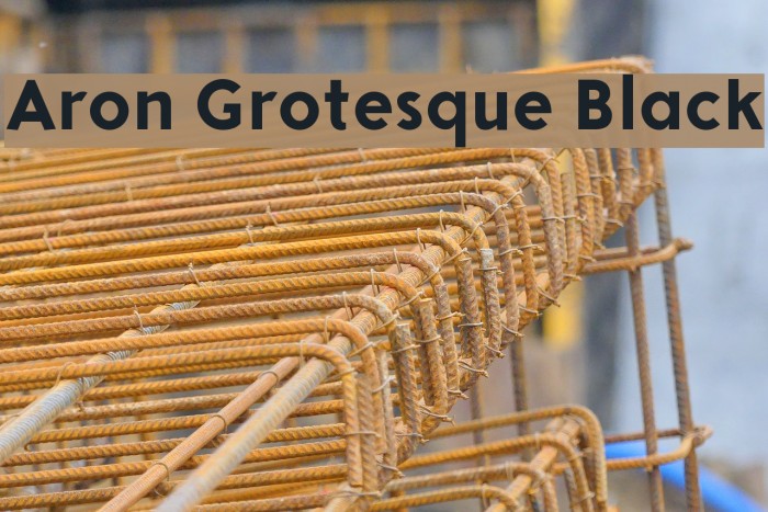 Aron Grotesque Black Font examples