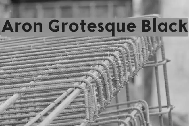 Aron Grotesque Black Example 1