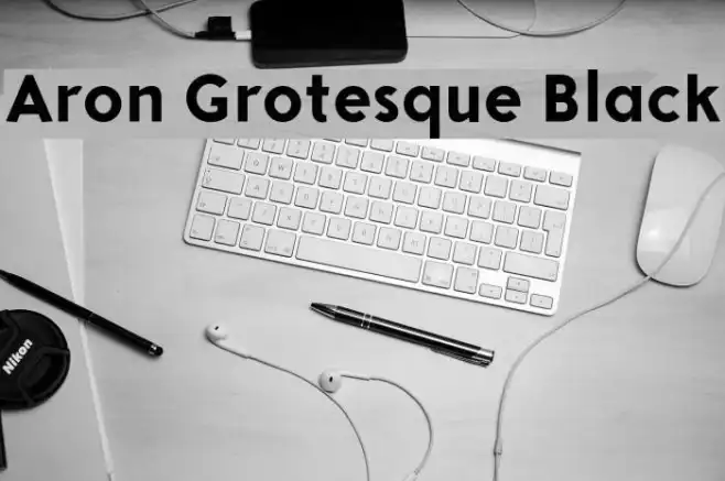 Aron Grotesque Black Example 2