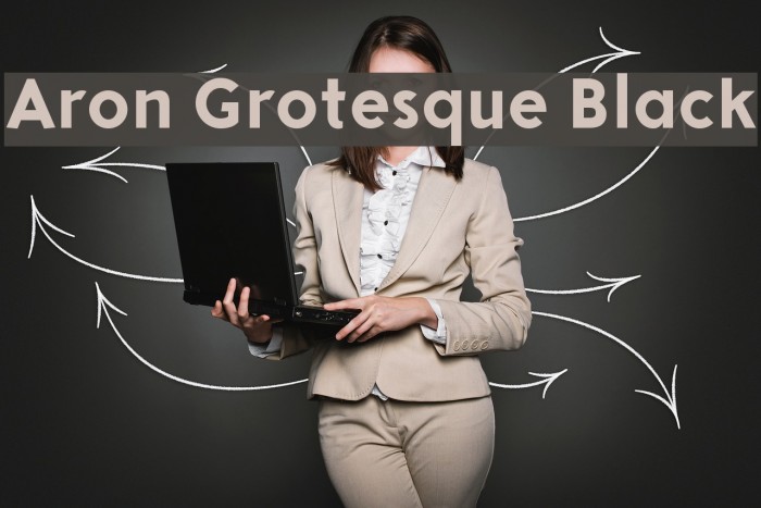 Aron Grotesque Black Font examples