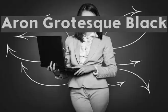 Aron Grotesque Black Example 3
