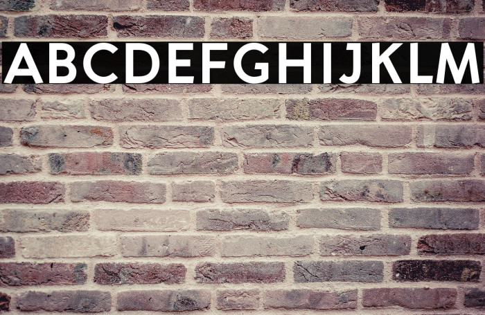 Aron Grotesque Bold Example 1