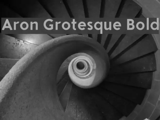 Aron Grotesque Bold Font examples