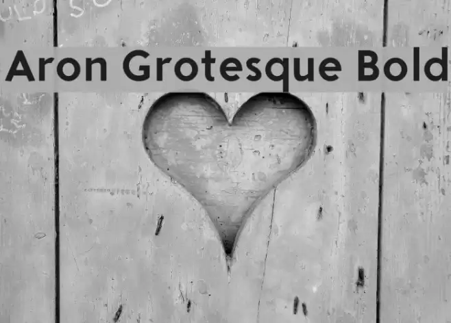 Aron Grotesque Bold Font examples