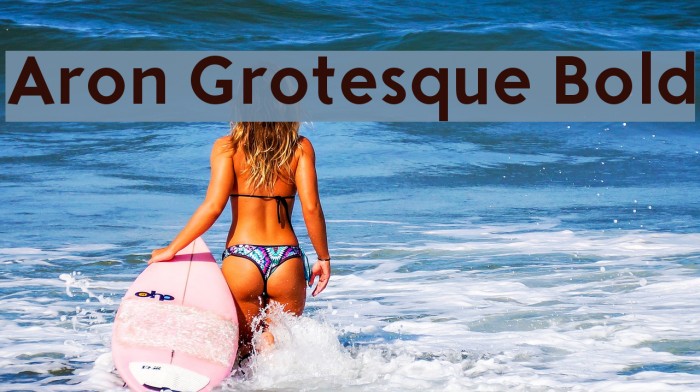 Aron Grotesque Bold フォント examples