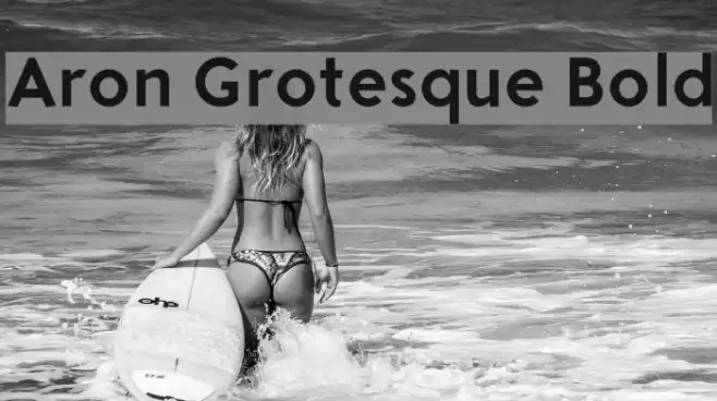 Aron Grotesque Bold Font examples