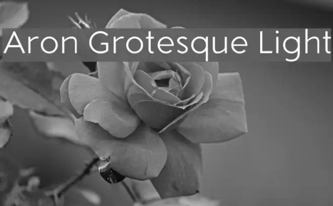 Aron Grotesque Light Font examples