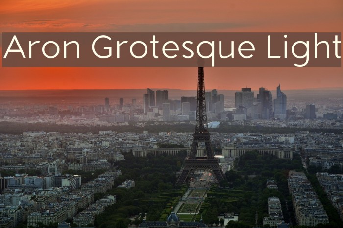 Aron Grotesque Light Example 3