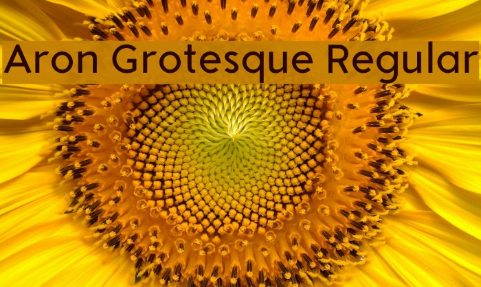 Aron Grotesque Regular Example 1