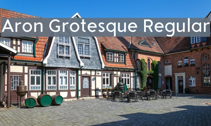 Aron Grotesque Regular Example 3