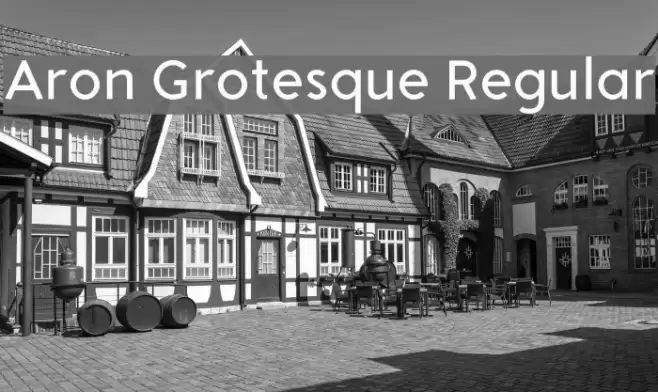 Aron Grotesque Regular Font examples