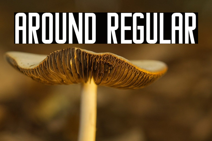 Around Regular Example 1