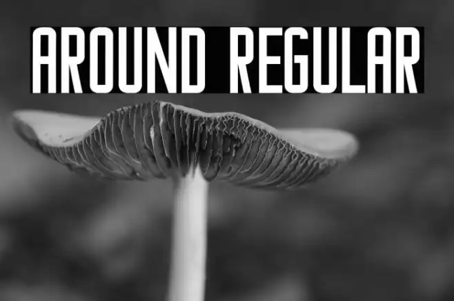 Around Regular Example 1