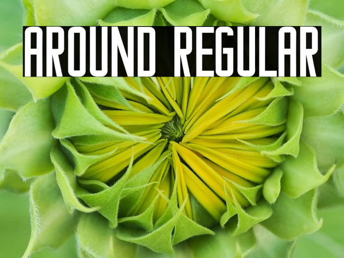 Around Regular Example 2