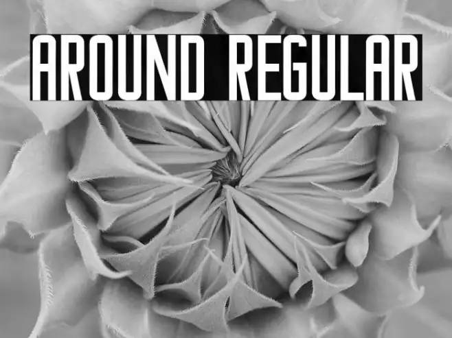 Around Regular Example 2
