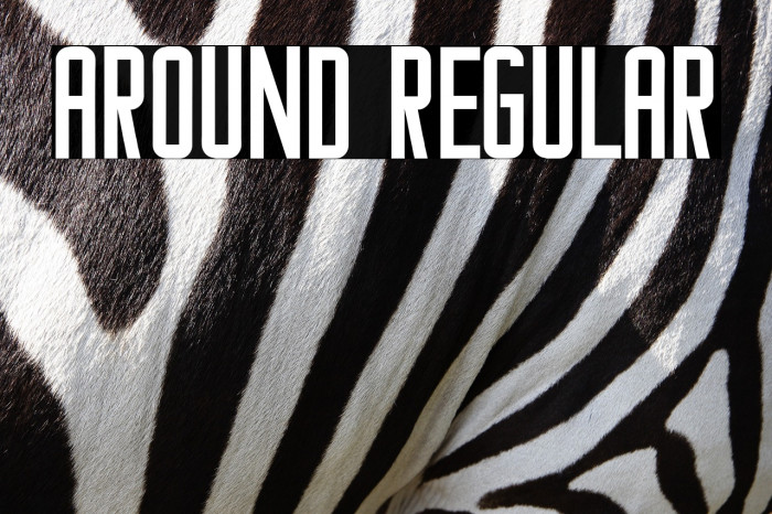 Around Regular Example 3