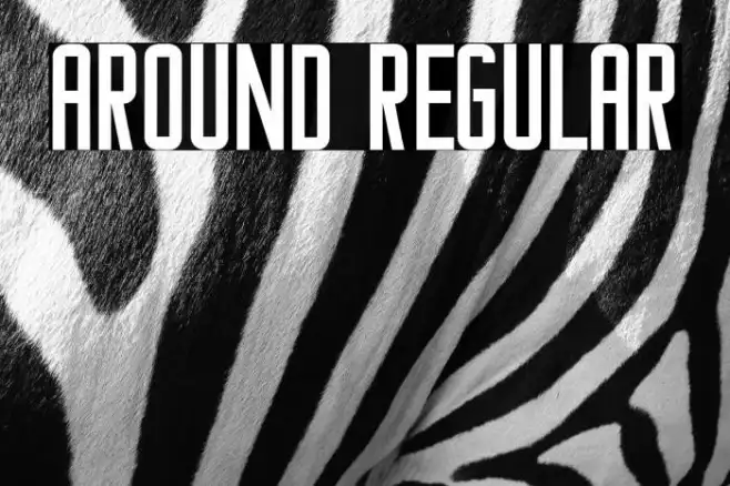 Around Regular Example 3