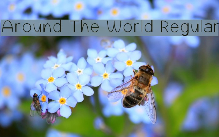 Around The World Regular Example 1