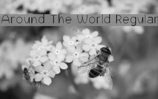 Around The World Regular Font examples