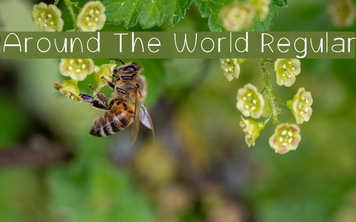 Around The World Regular Example 3