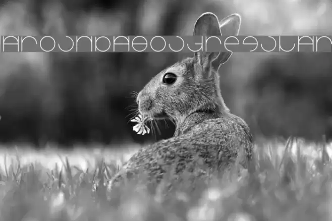 Aroundabout-Regular Font examples