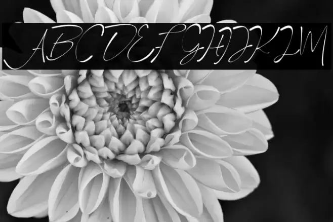 ArraYasmine Font examples