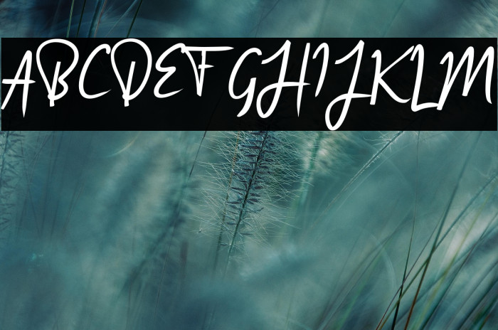 Arrange Signature Example 2