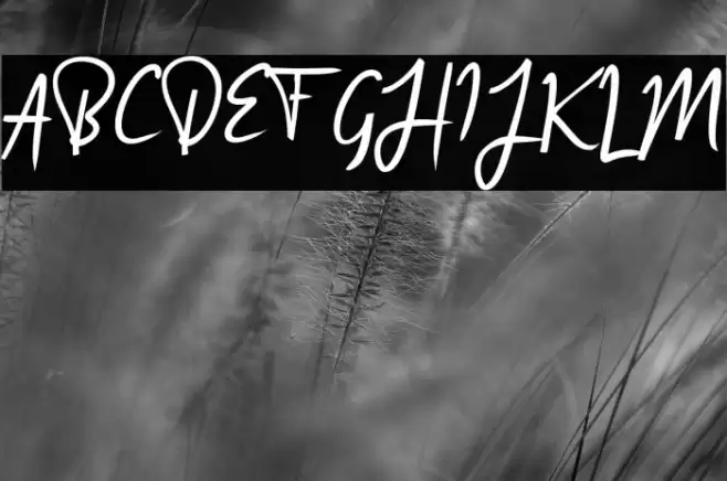 Arrange Signature Font examples