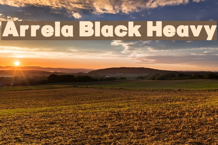 Arreia Black Heavy Font examples