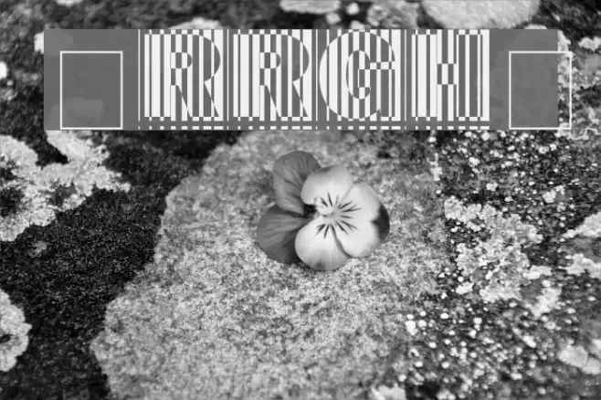 Arrgh! Font examples