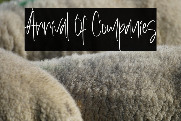 Arrival Of Companies Example 3