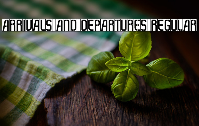 Arrivals And Departures Regular Example 1
