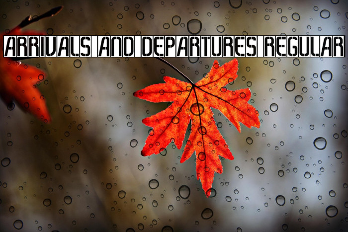 Arrivals And Departures Regular Example 2