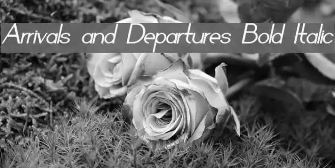 Arrivals and Departures Bold Italic Example 2