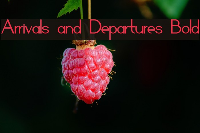 Arrivals and Departures Bold Example 1