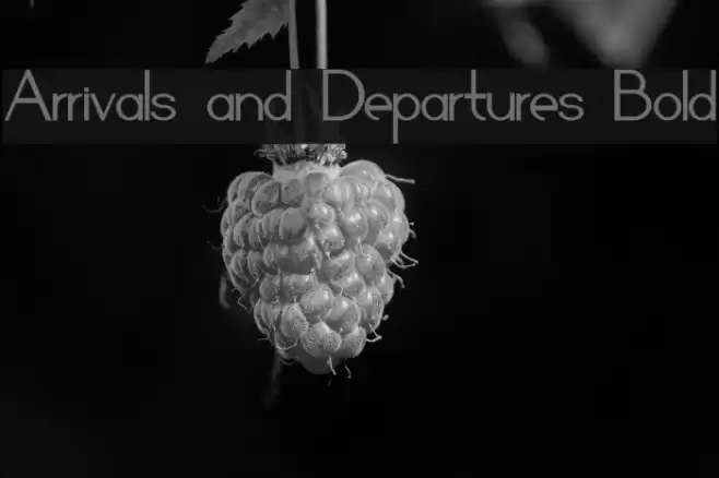 Arrivals and Departures Bold Font examples