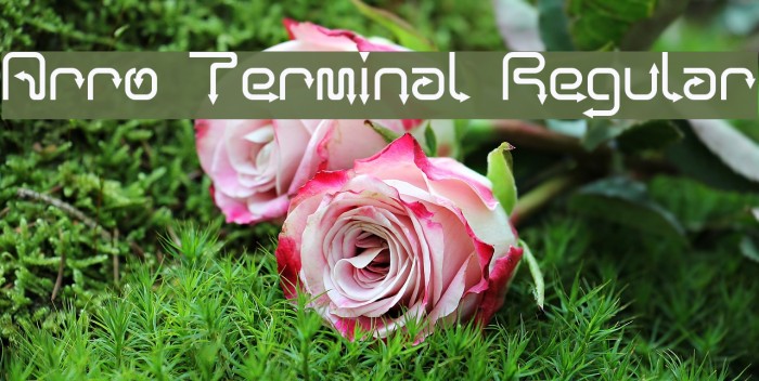 Arro Terminal Regular Font examples