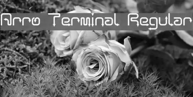 Arro Terminal Regular Example 1