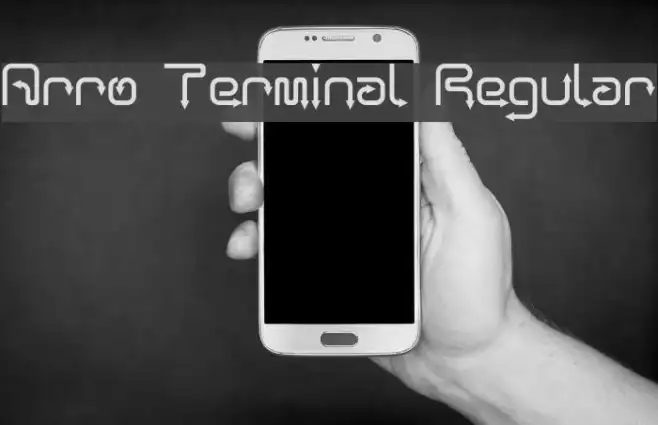Arro Terminal Regular Example 2