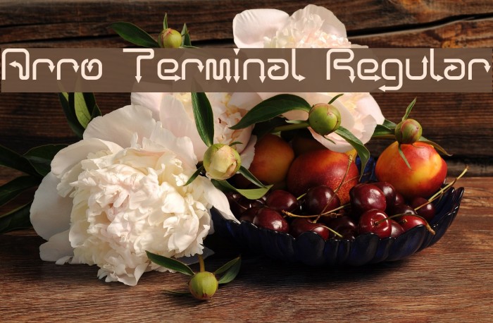 Arro Terminal Regular Font examples