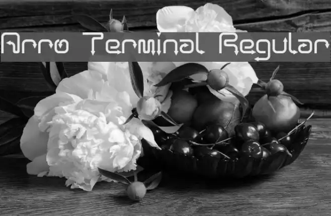 Arro Terminal Regular Example 3