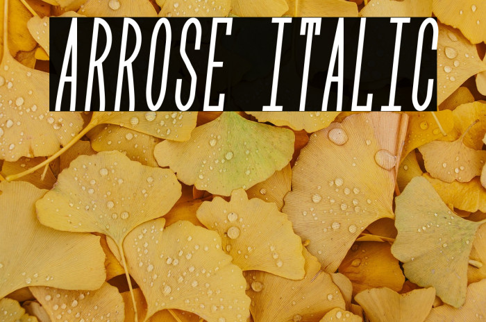 Arrose Italic Example 1