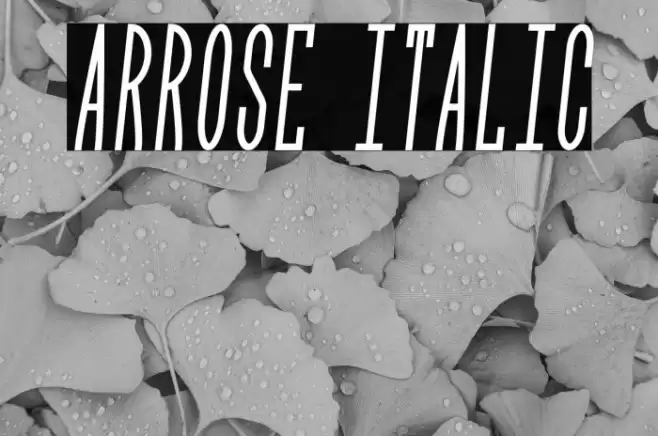 Arrose Italic Font examples