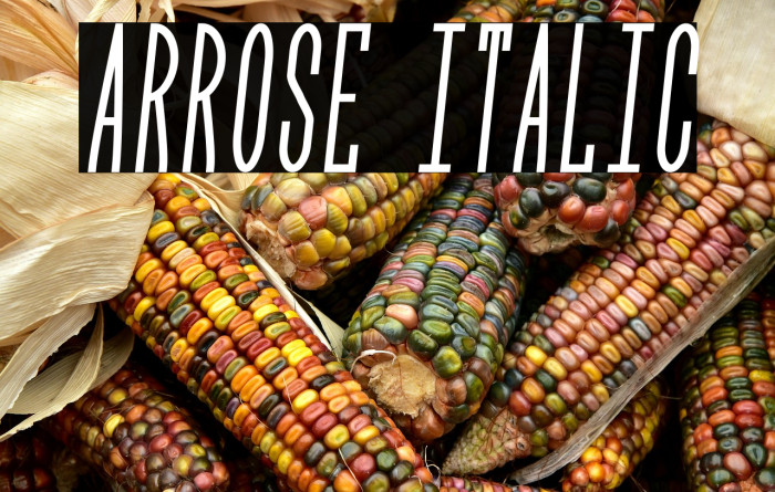 Arrose Italic Example 3