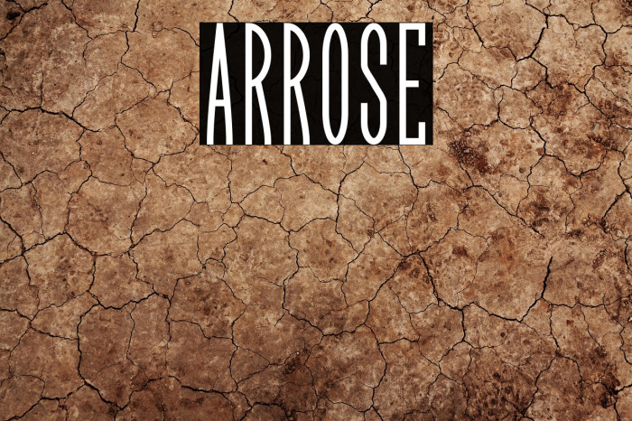 Arrose Example 1