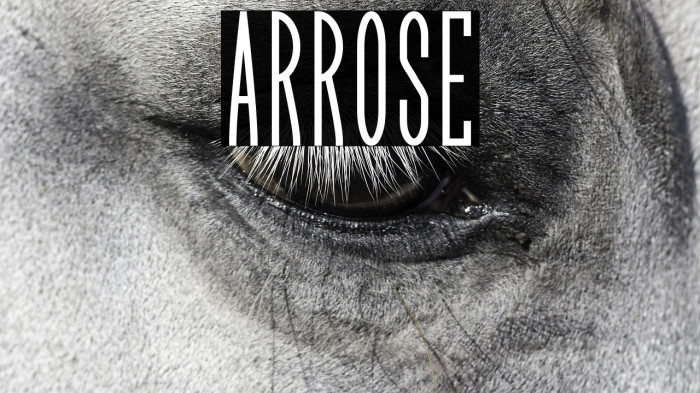 Arrose Example 3