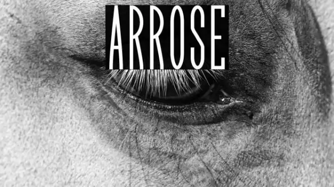 Arrose Example 3